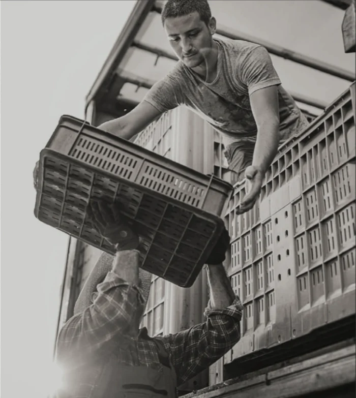 Les partenaires
