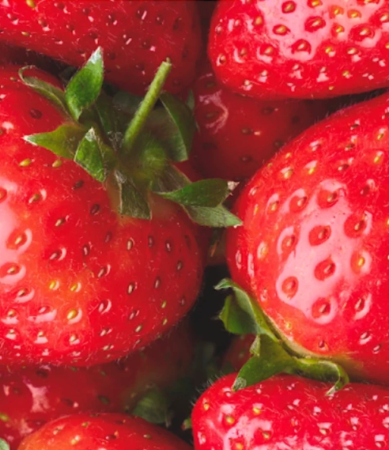 Fraises